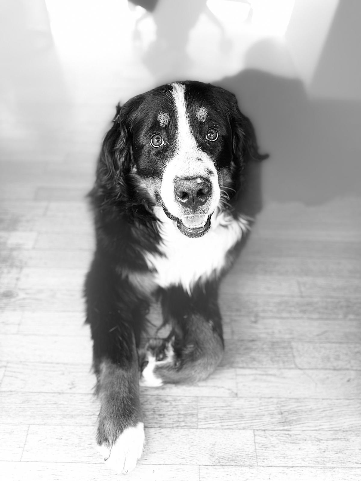 BETTINA alias \"BETTY\"